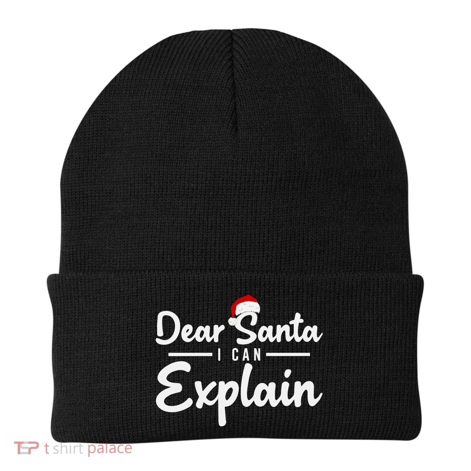 Dear Santa I Can Explain Beanie
