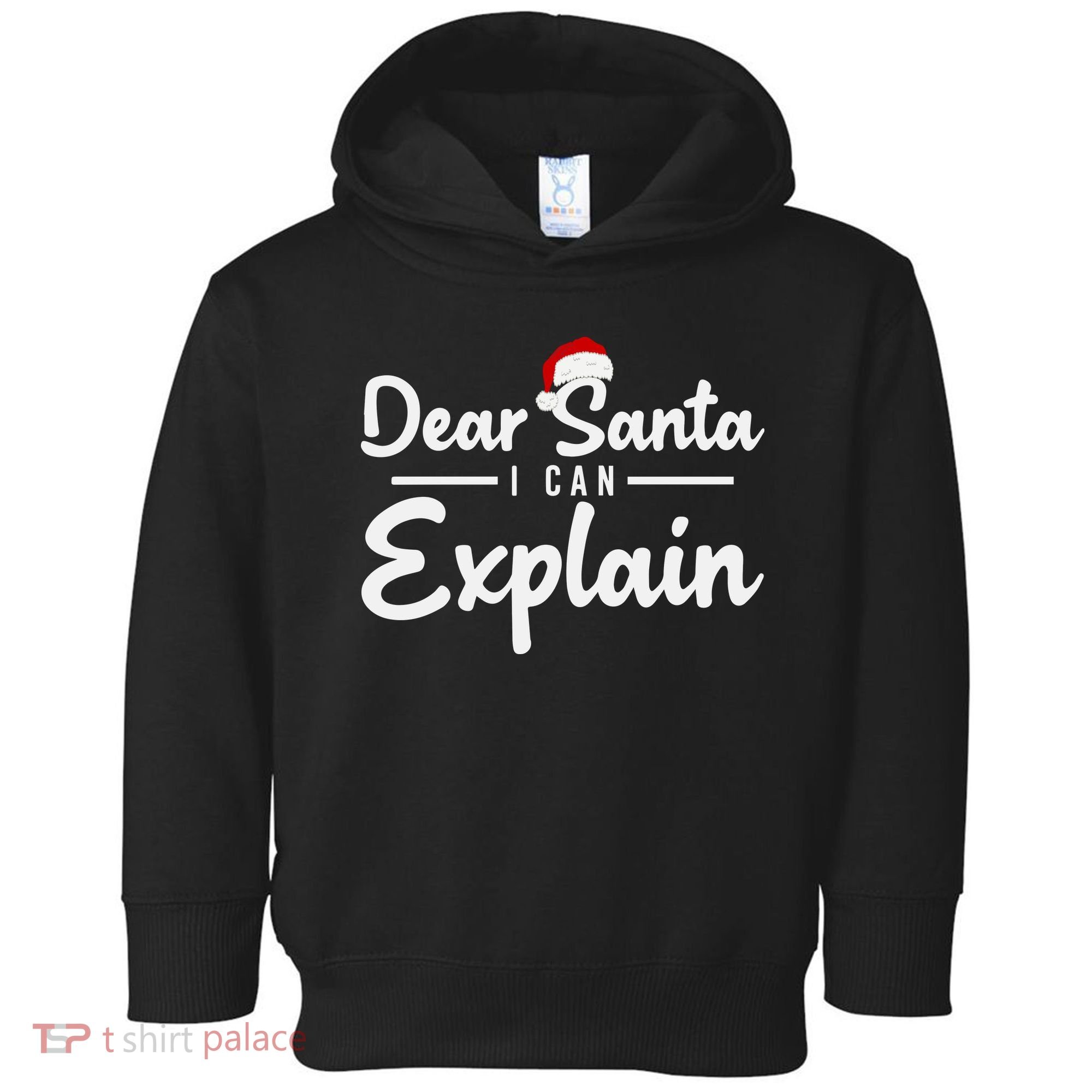Dear Santa I Can Explain Toddler Hoodie