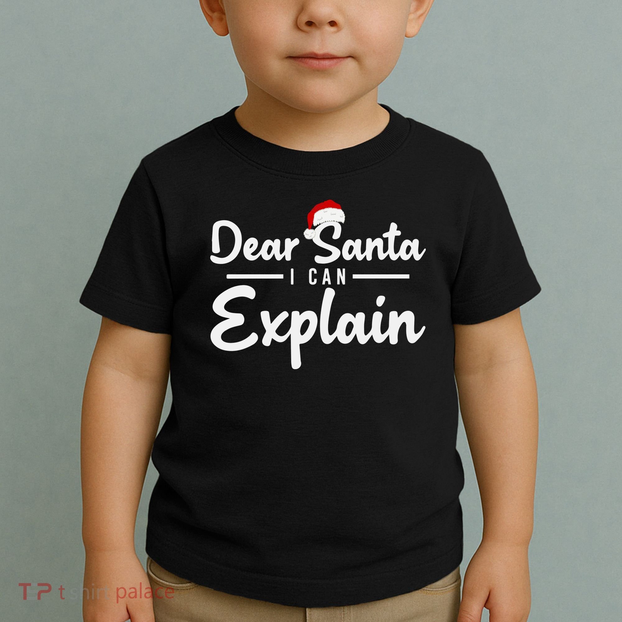 Dear Santa I Can Explain Toddler T-Shirt