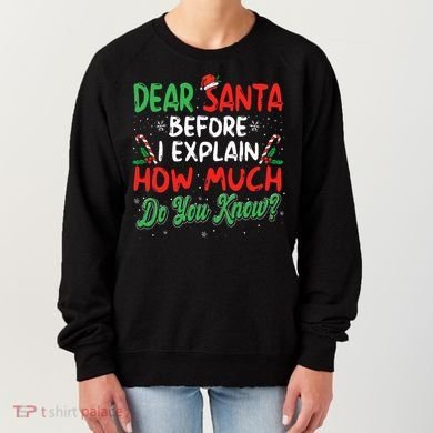 Dear Santa I Can Explain Funny Christmas  Women's Sweatshirt