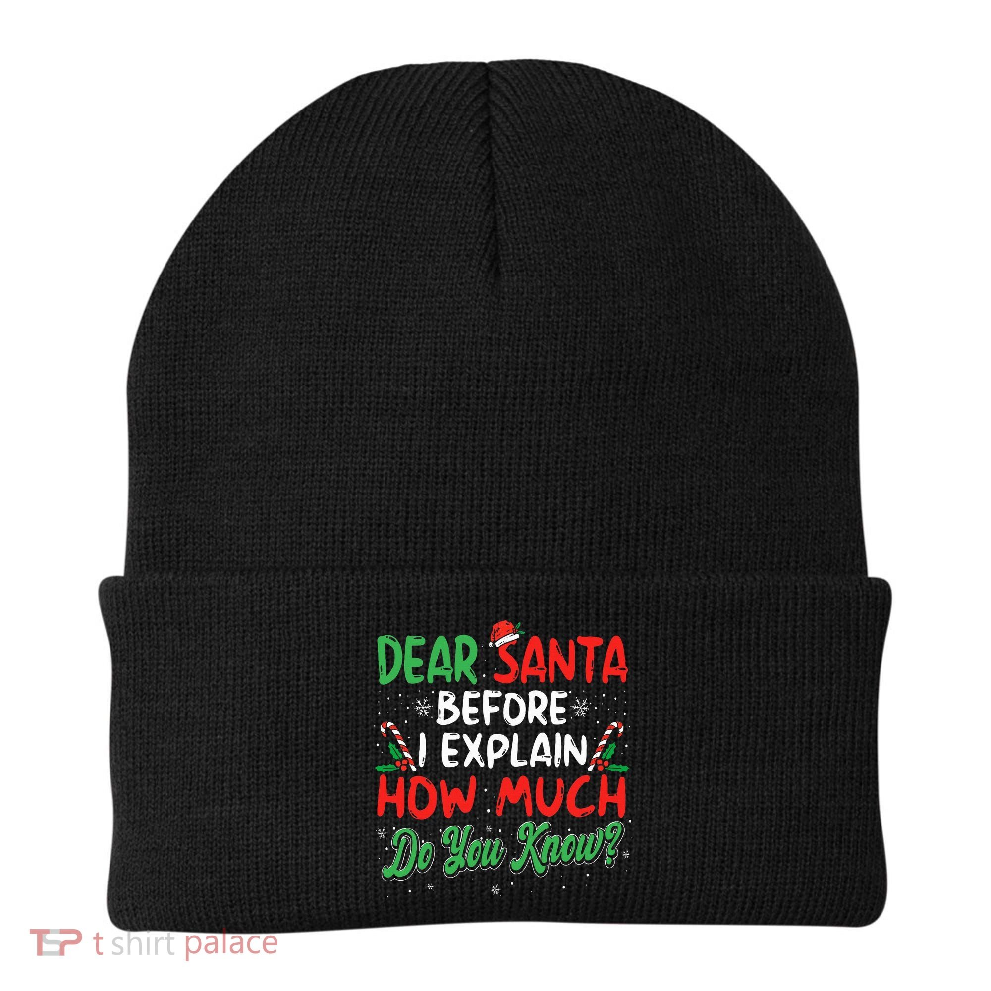 Dear Santa I Can Explain Funny Christmas  Beanie