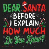 Dear Santa I Can Explain Funny Christmas  Beanie thumb 2