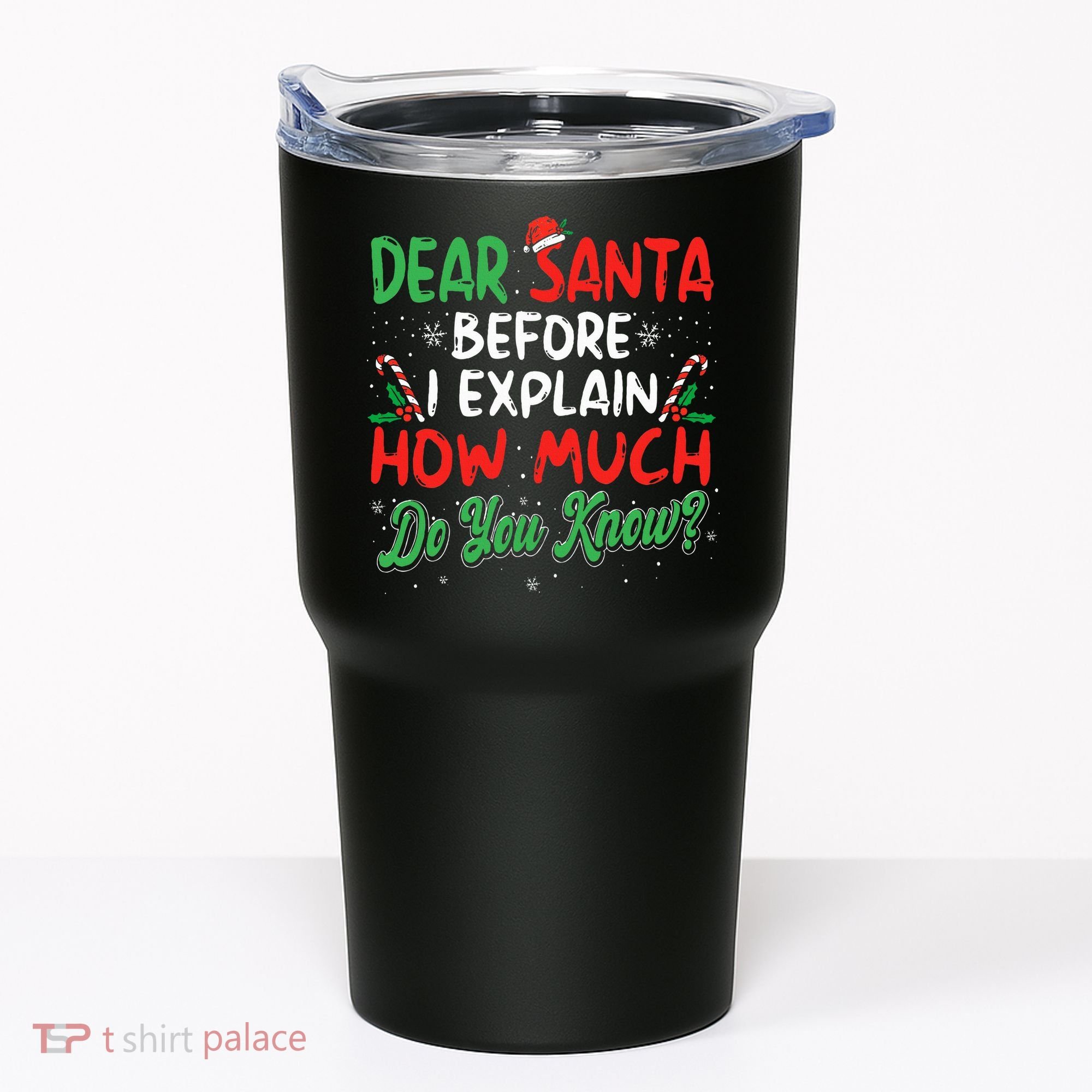 Dear Santa I Can Explain Funny Christmas  Tumbler