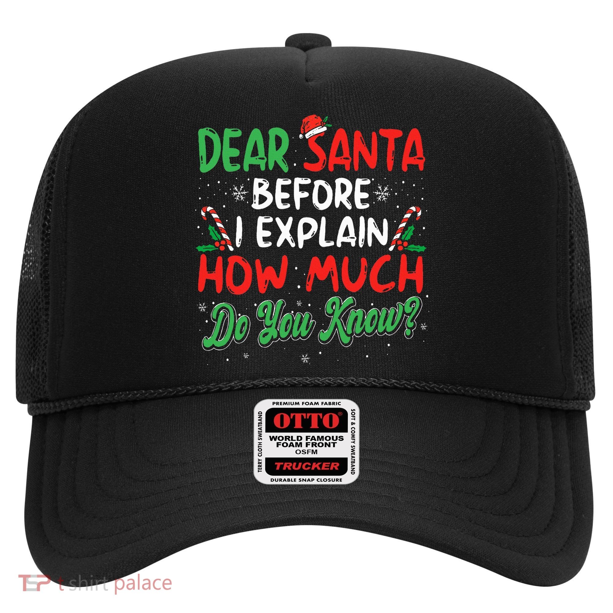 Dear Santa I Can Explain Funny Christmas  Hat