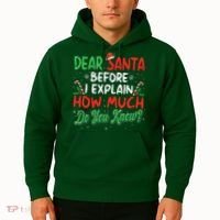 Dear Santa I Can Explain Funny Christmas  Hoodie thumb 2