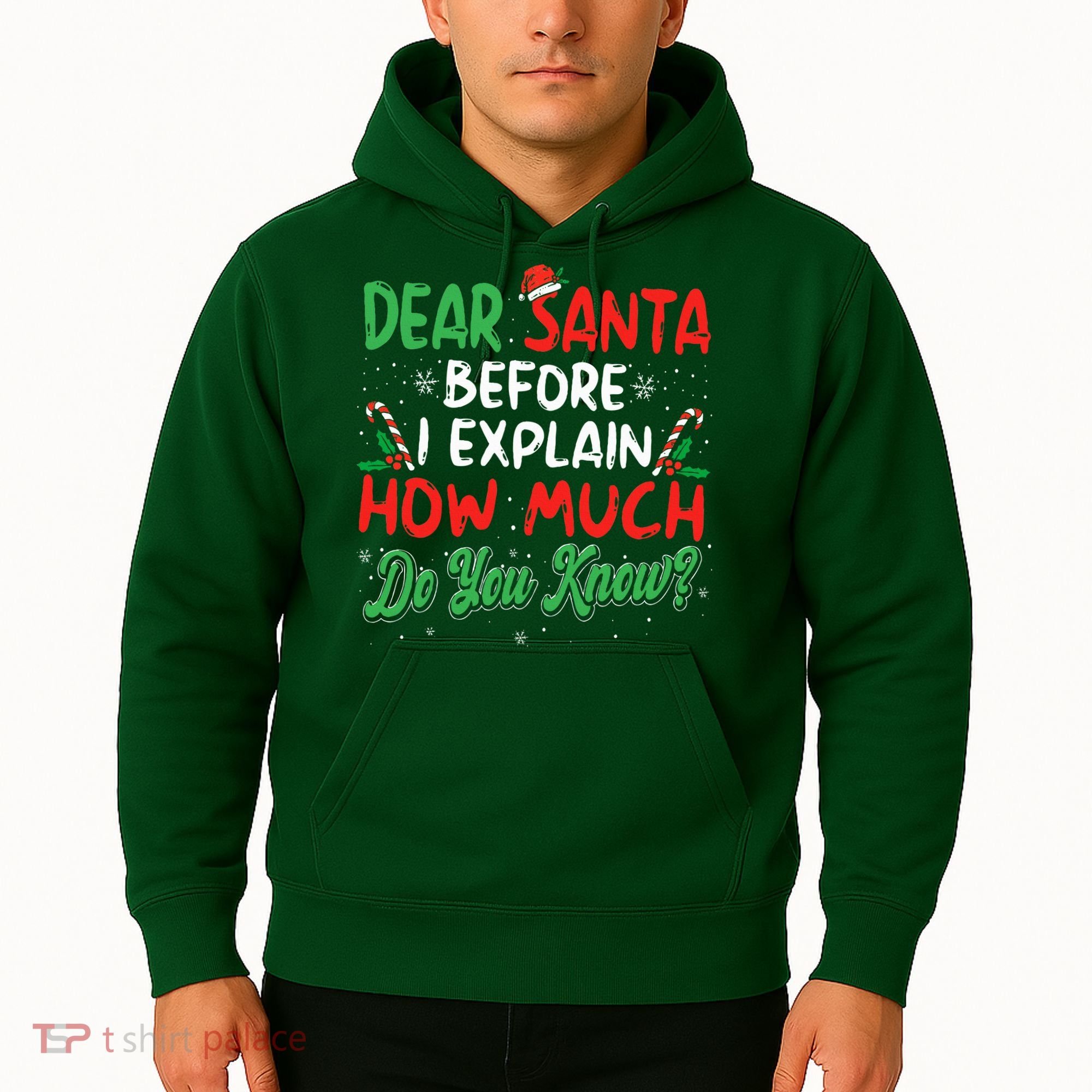 Dear Santa I Can Explain Funny Christmas  Hoodie