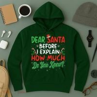 Dear Santa I Can Explain Funny Christmas  Hoodie thumb 3