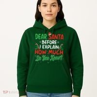 Dear Santa I Can Explain Funny Christmas  Hoodie thumb 5