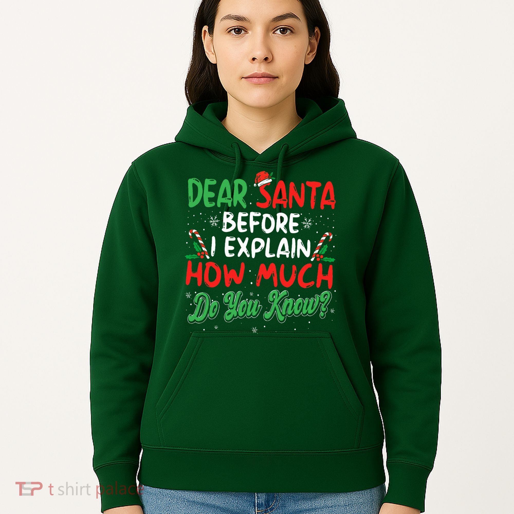 Dear Santa I Can Explain Funny Christmas  Hoodie