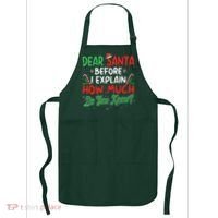 Dear Santa I Can Explain Funny Christmas  Apron thumb 0