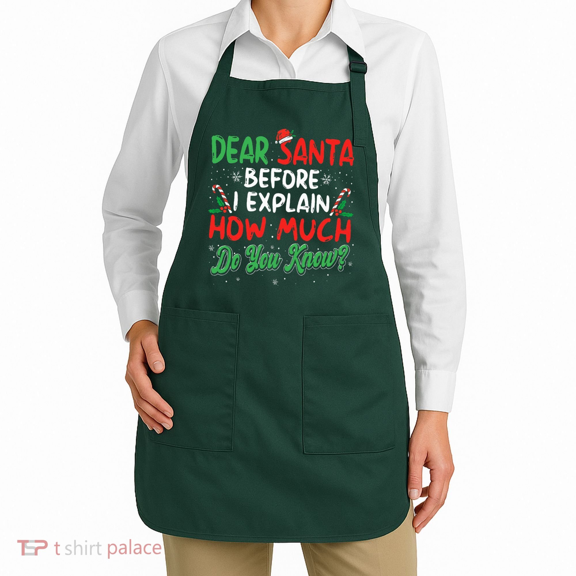 Dear Santa I Can Explain Funny Christmas  Apron