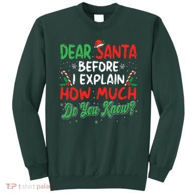 Dear Santa I Can Explain Funny Christmas  Sweatshirt