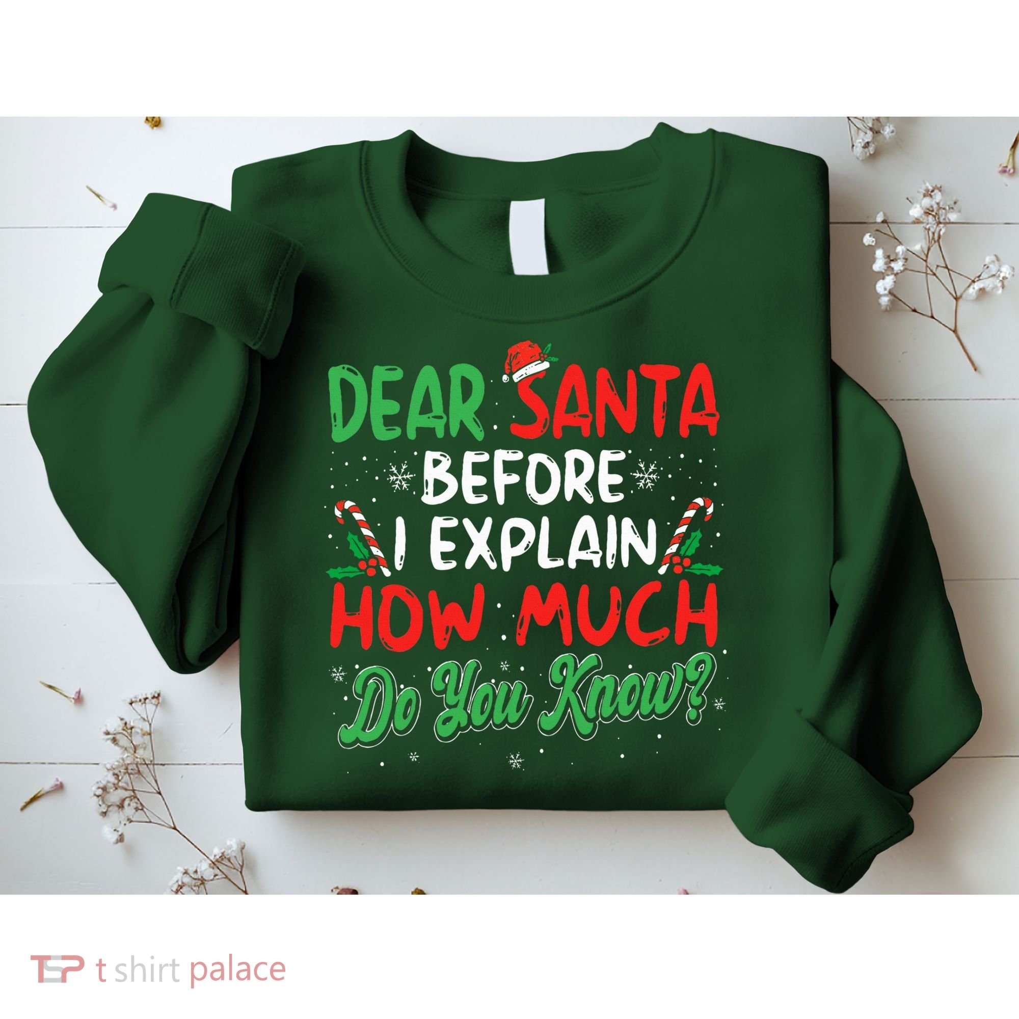 Dear Santa I Can Explain Funny Christmas  Sweatshirt