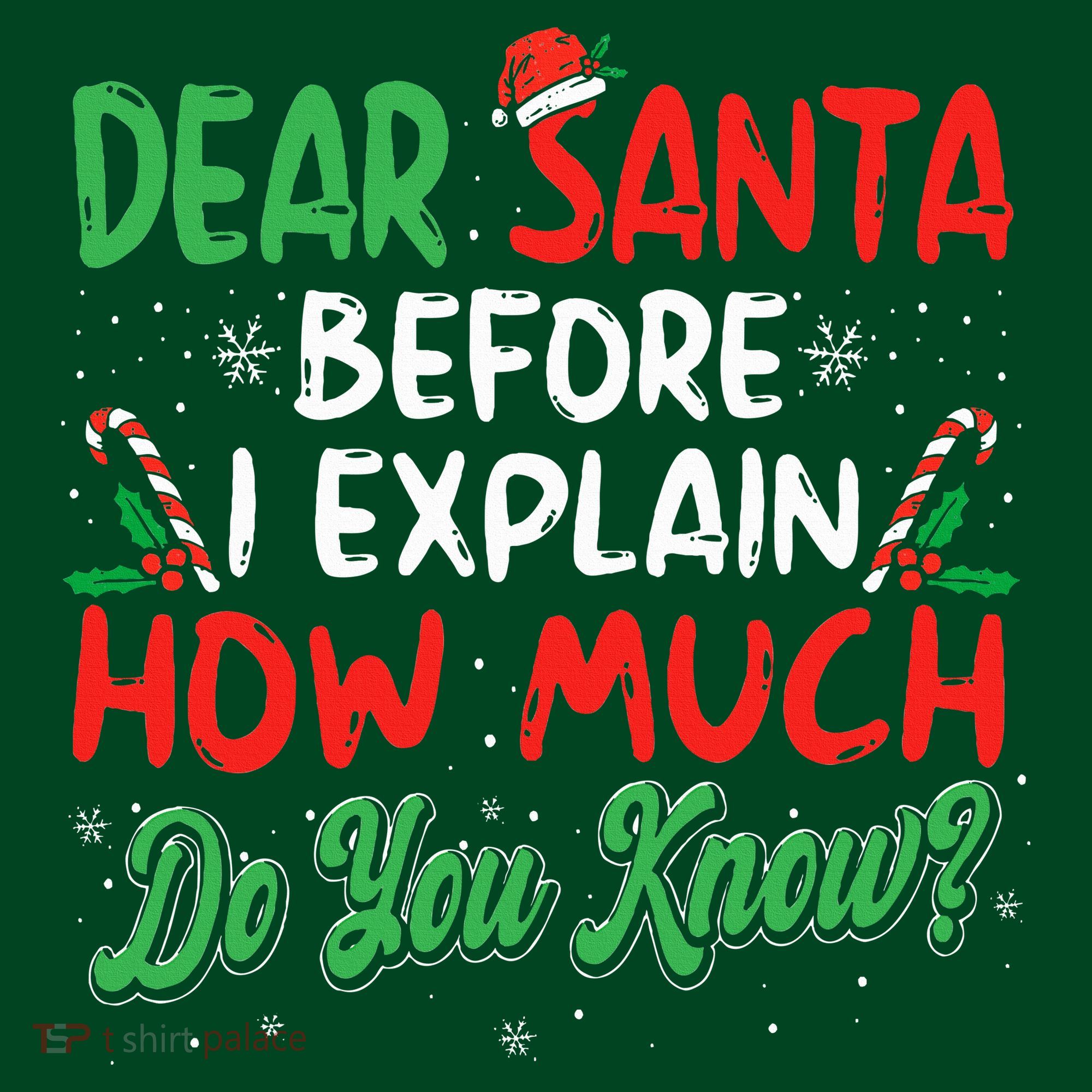 Dear Santa I Can Explain Funny Christmas  Sweatshirt