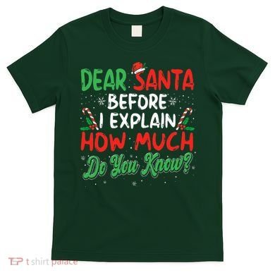 Dear Santa I Can Explain Funny Christmas  T-Shirt