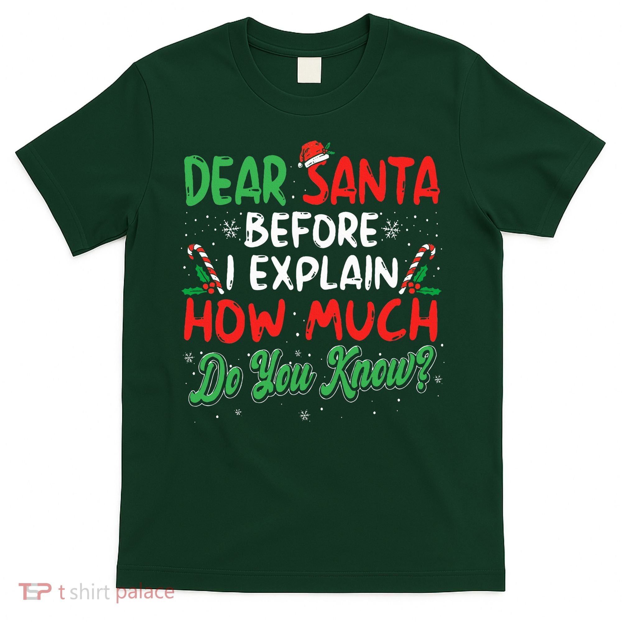 Dear Santa I Can Explain Funny Christmas  T-Shirt