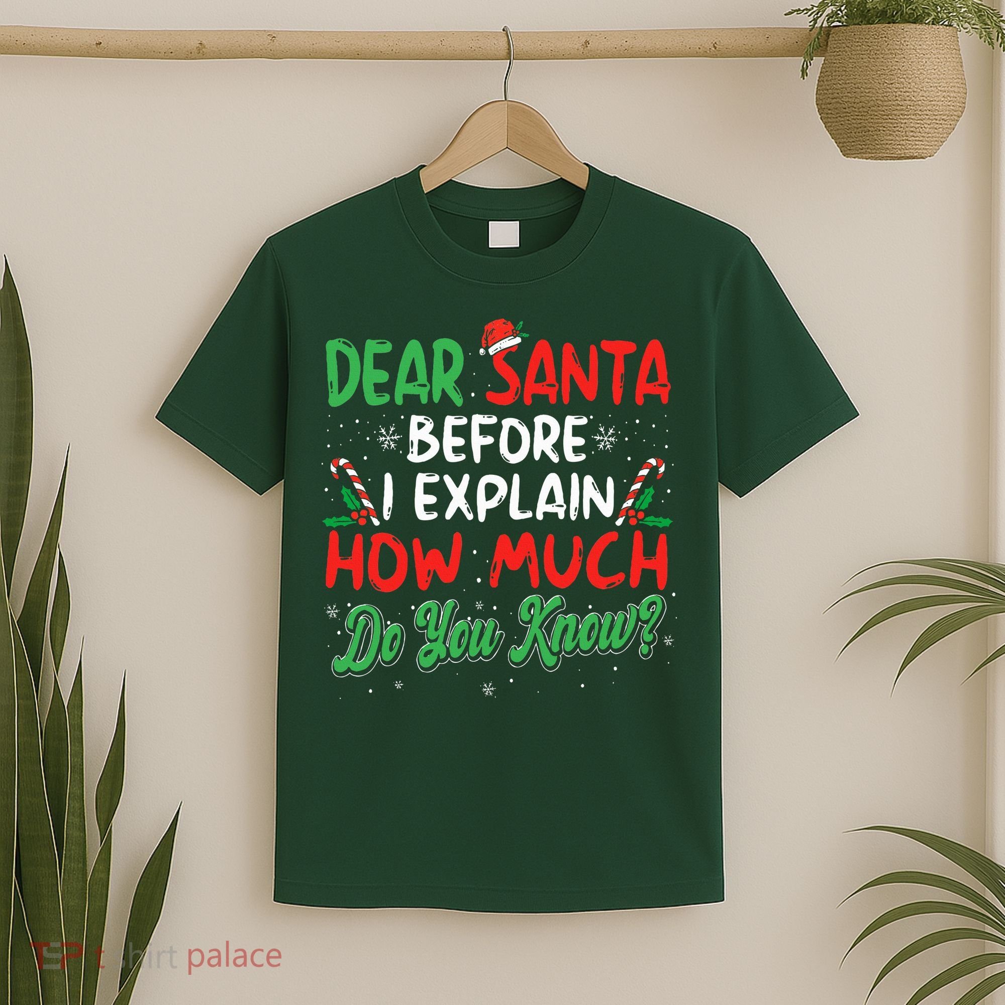 Dear Santa I Can Explain Funny Christmas  T-Shirt