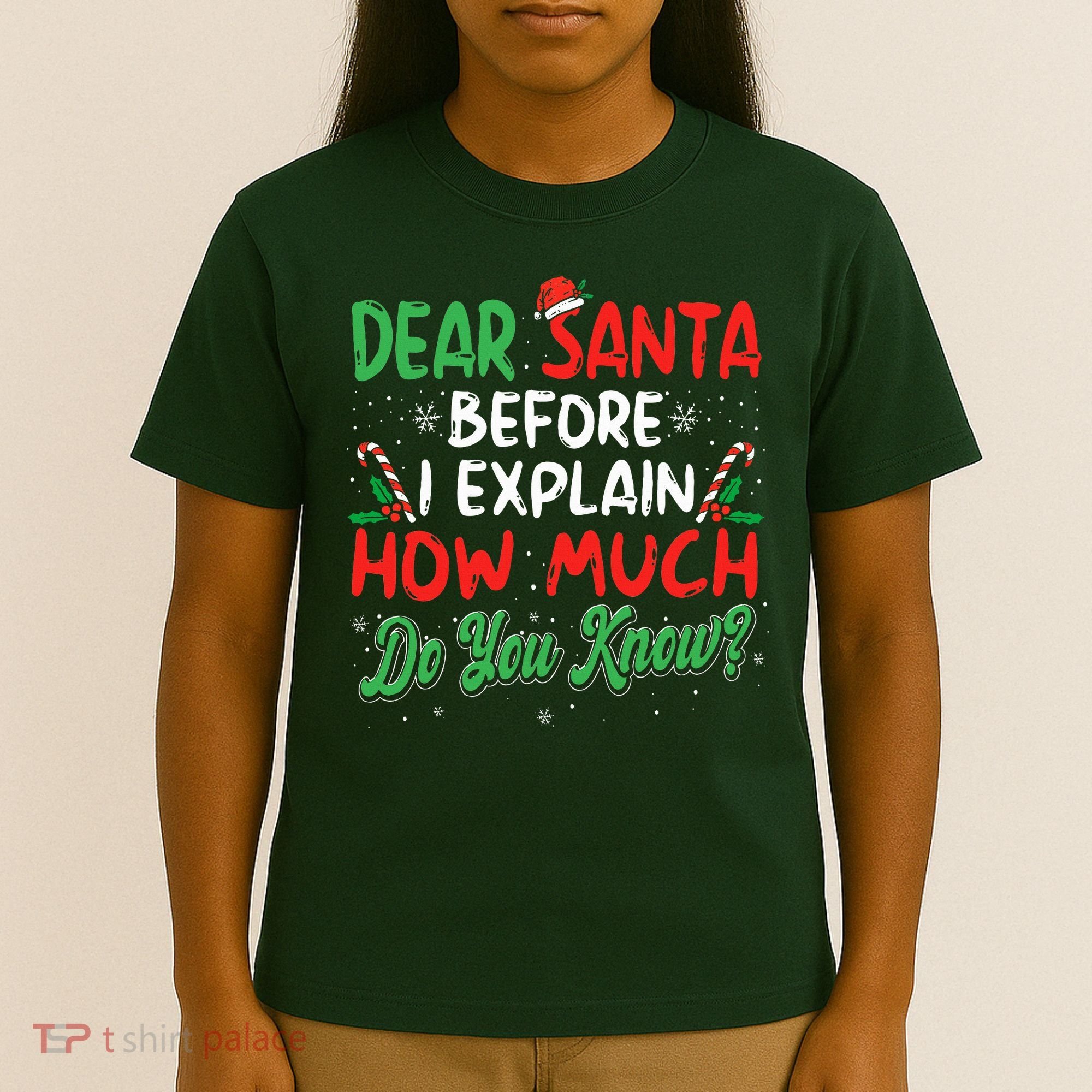 Dear Santa I Can Explain Funny Christmas  T-Shirt