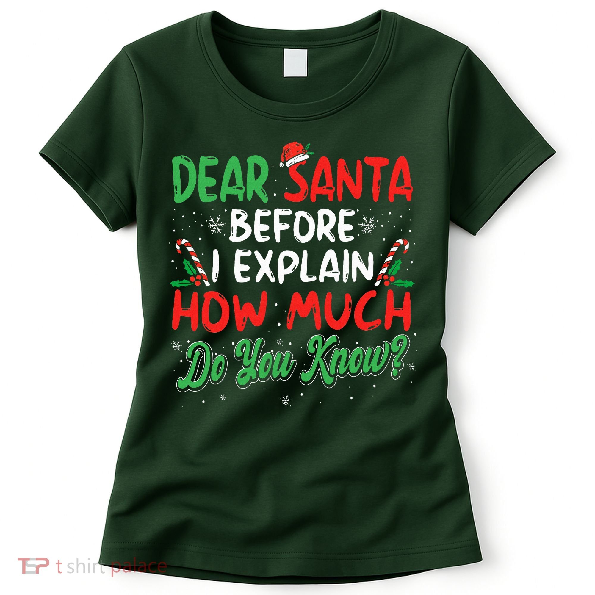 Dear Santa I Can Explain Funny Christmas  Women's T-Shirt