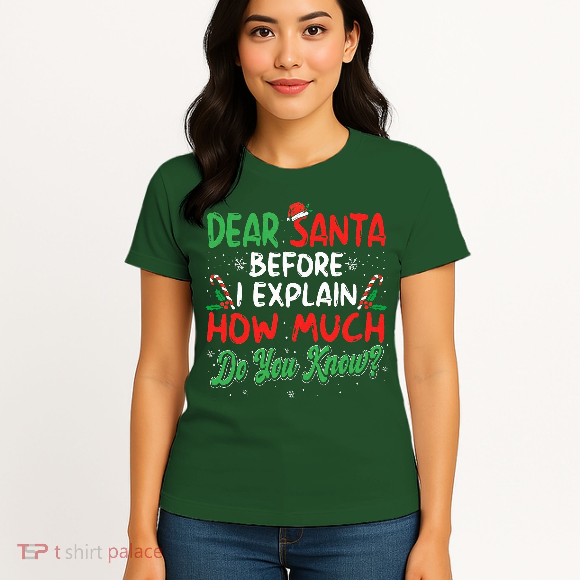 Dear Santa I Can Explain Funny Christmas  Women's T-Shirt