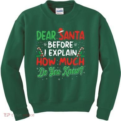 Dear Santa I Can Explain Funny Christmas  Kids Sweatshirt