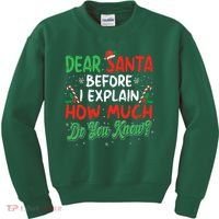 Dear Santa I Can Explain Funny Christmas  Kids Sweatshirt thumb 0