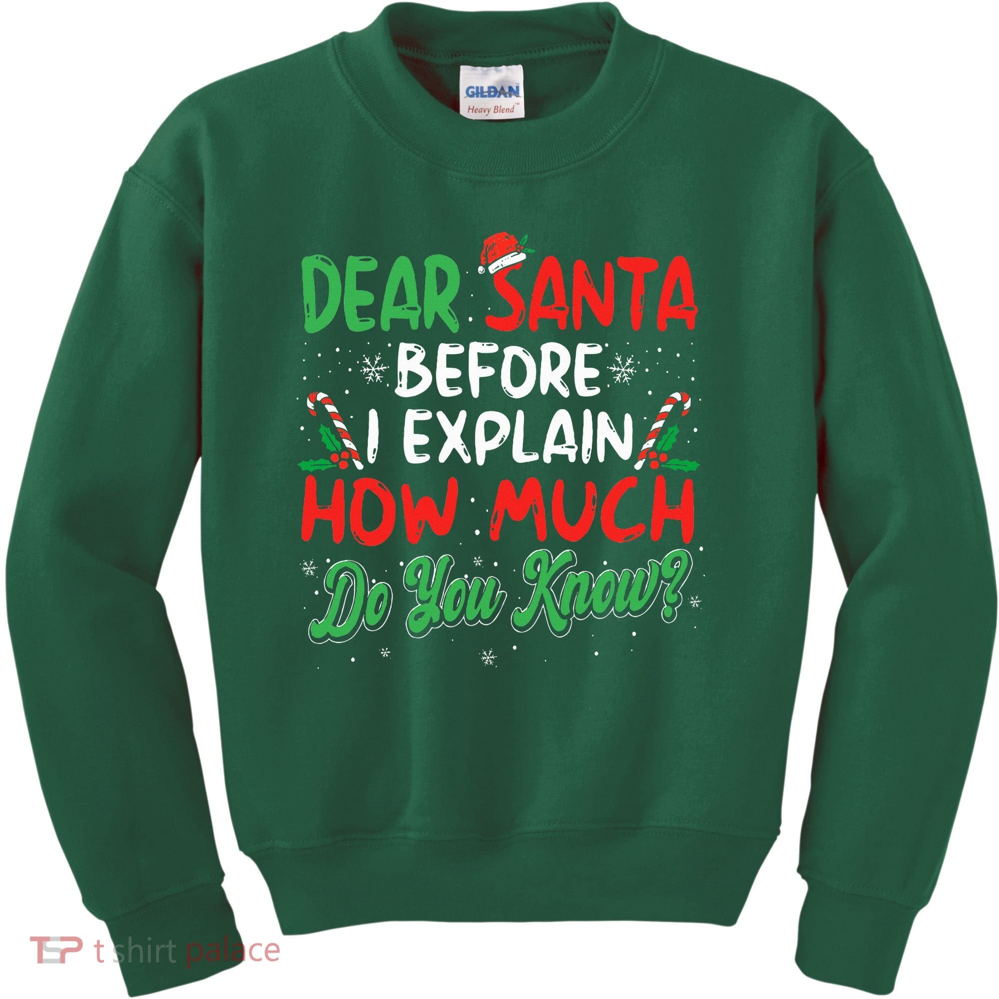 Dear Santa I Can Explain Funny Christmas  Kids Sweatshirt
