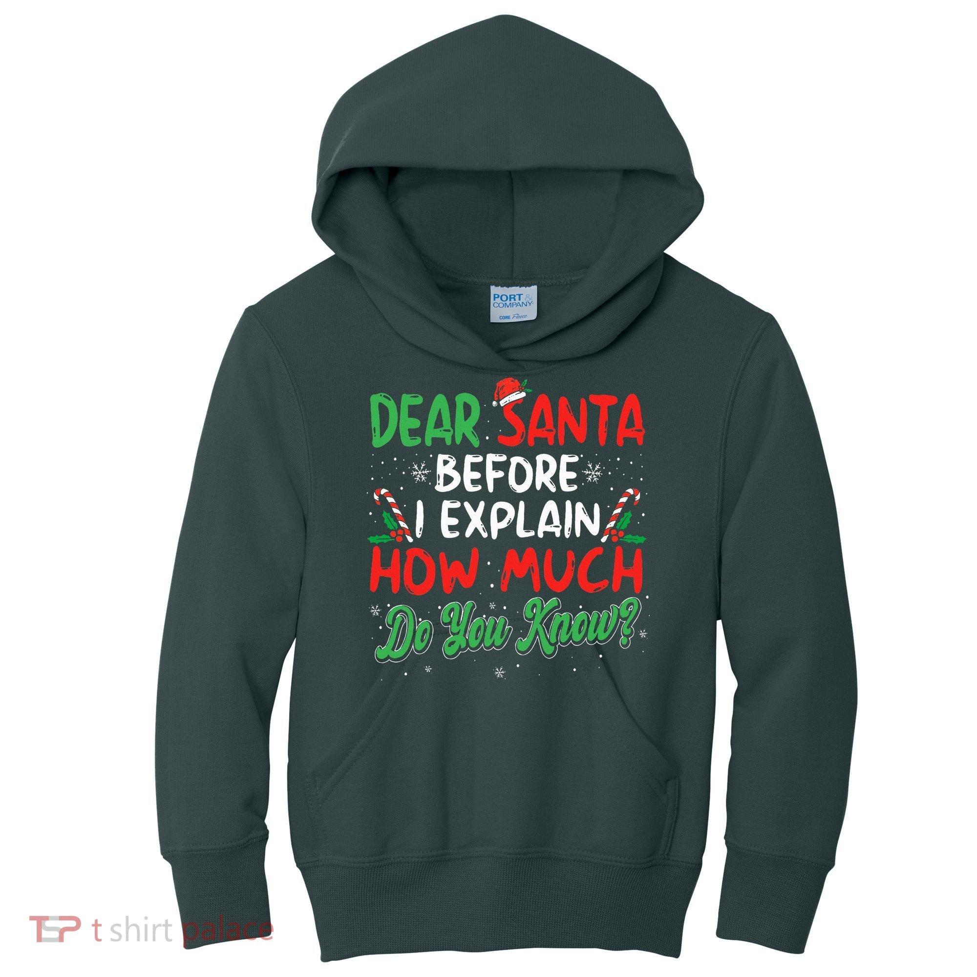 Dear Santa I Can Explain Funny Christmas  Kids Hoodie