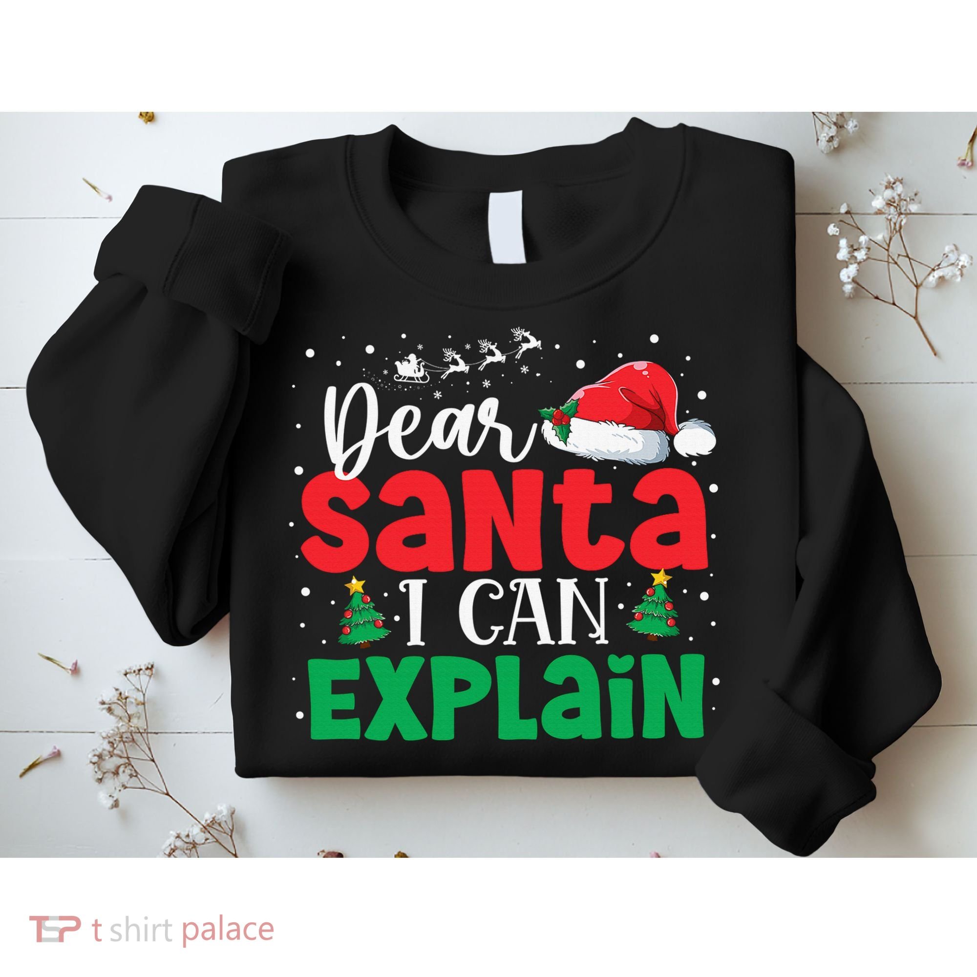 Dear Santa I Can Explain Funny Christmas List Xmas Pajamas Sweatshirt