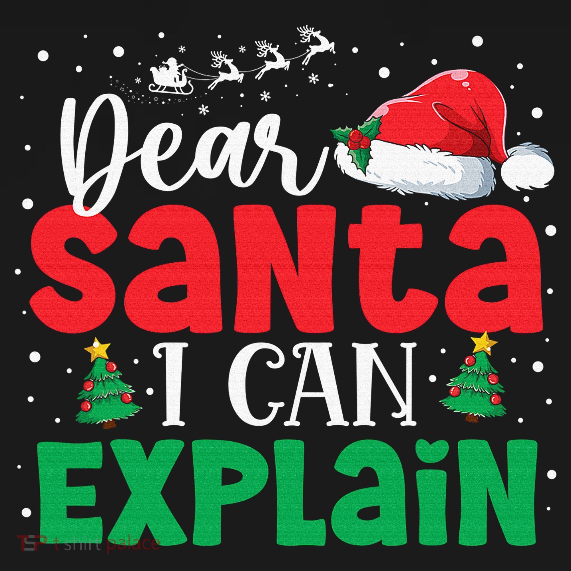 Dear Santa I Can Explain Funny Christmas List Xmas Pajamas Women's Hoodie