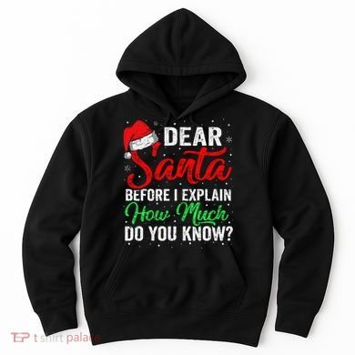 Dear Santa I Can Explain Funny Christmas Hoodie