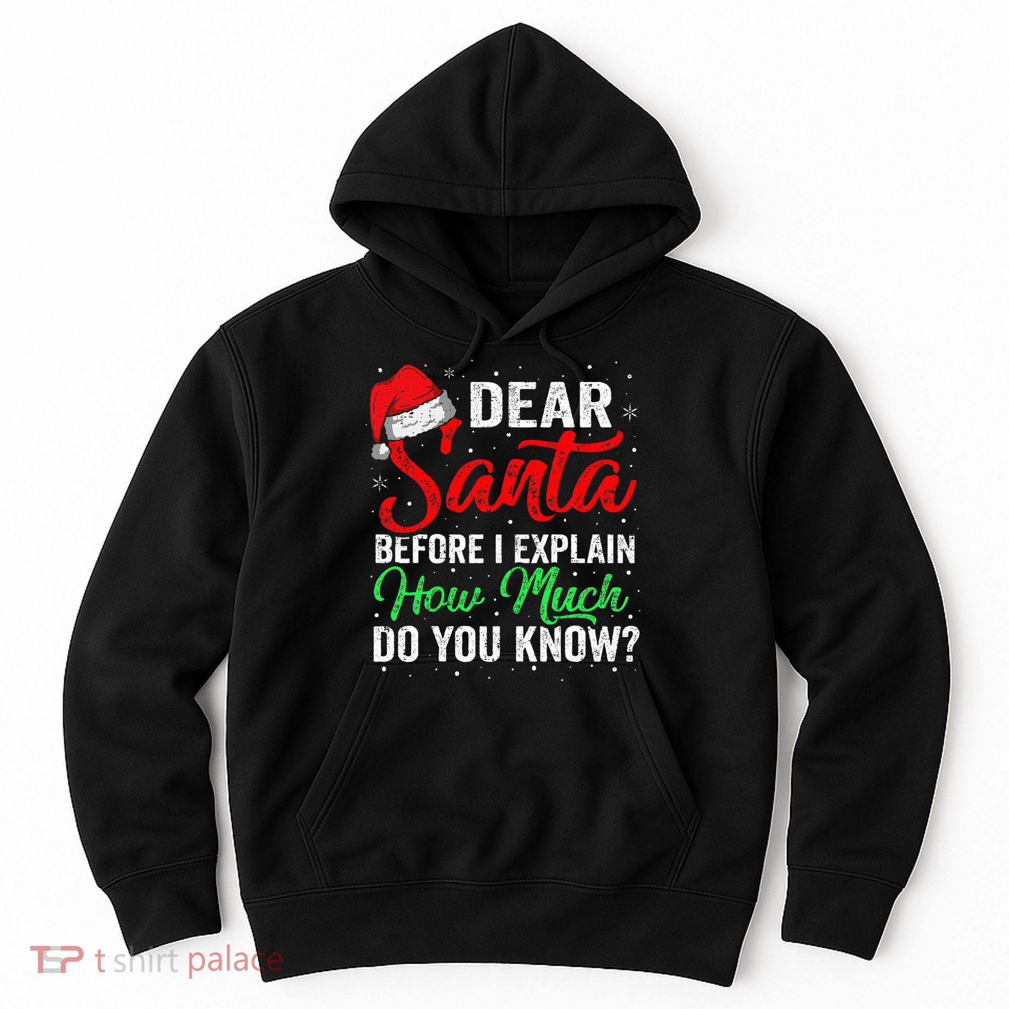 Dear Santa I Can Explain Funny Christmas Hoodie