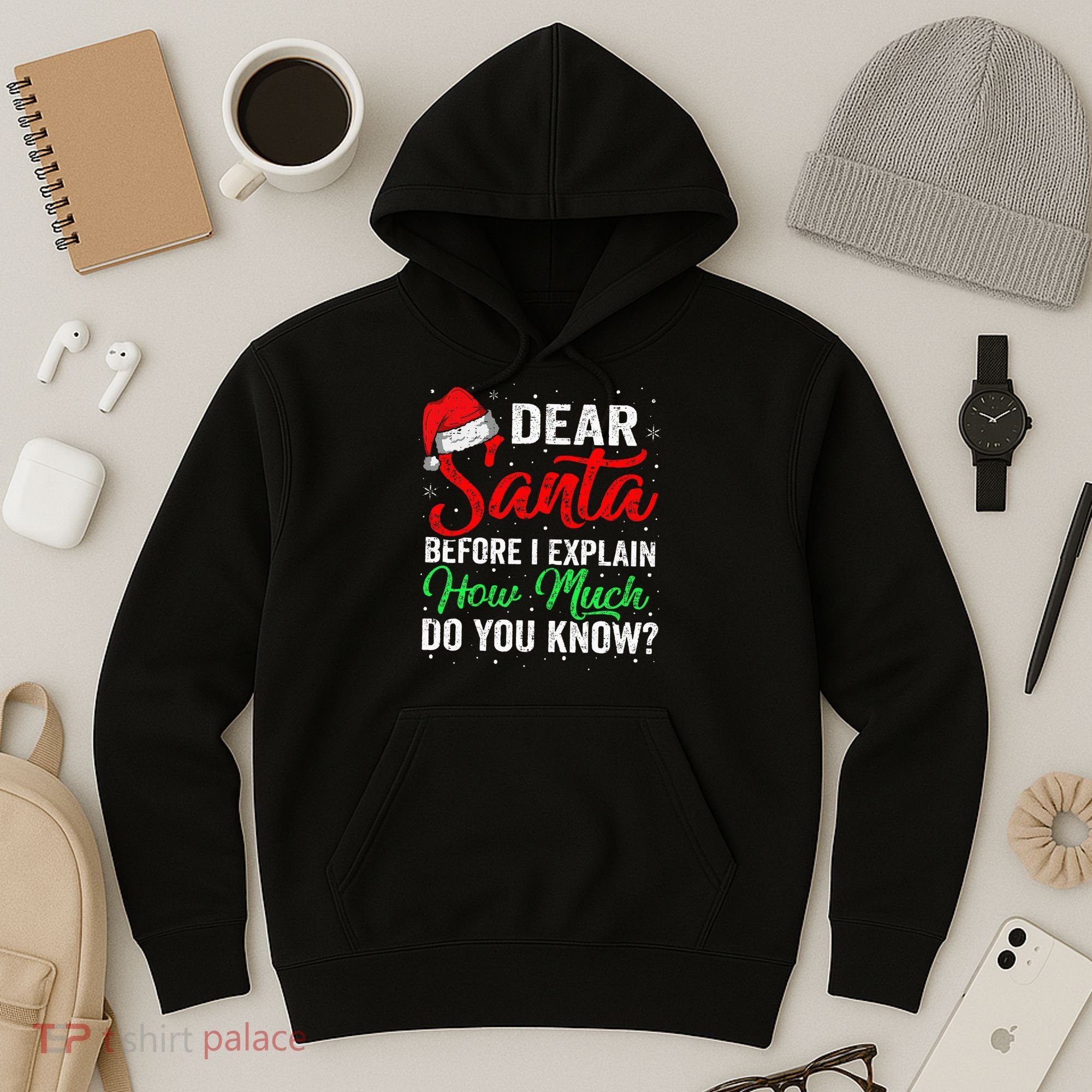 Dear Santa I Can Explain Funny Christmas Hoodie