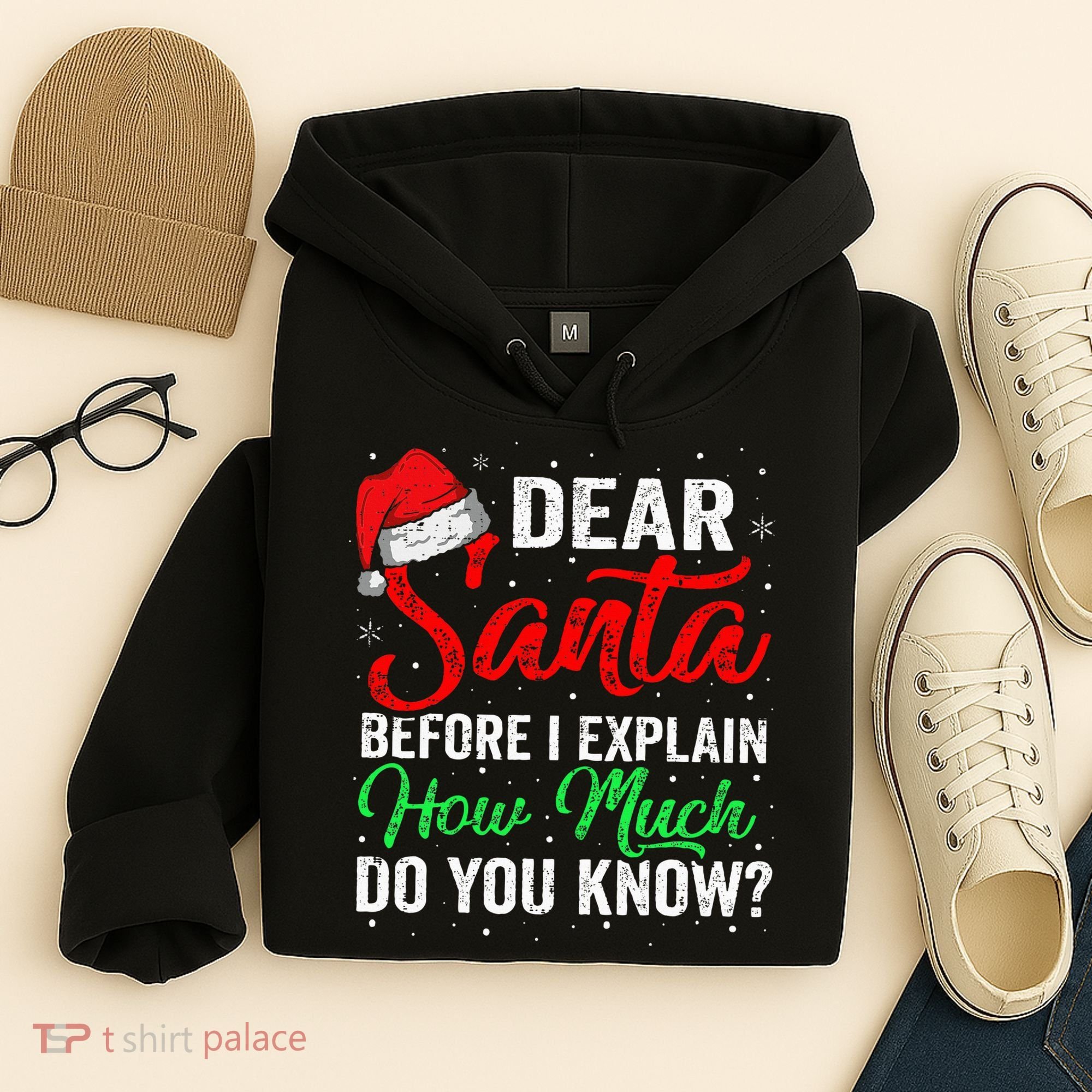 Dear Santa I Can Explain Funny Christmas Hoodie