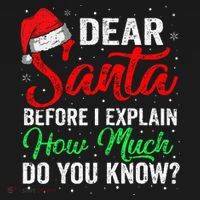 Dear Santa I Can Explain Funny Christmas Apron thumb 3