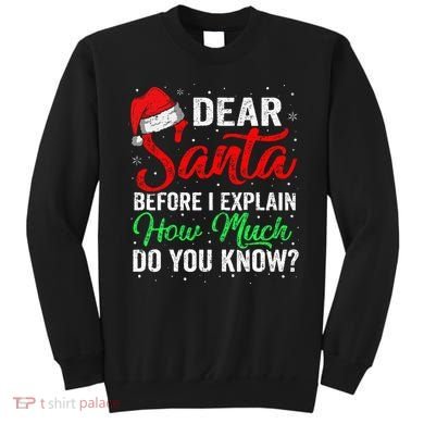 Dear Santa I Can Explain Funny Christmas Sweatshirt