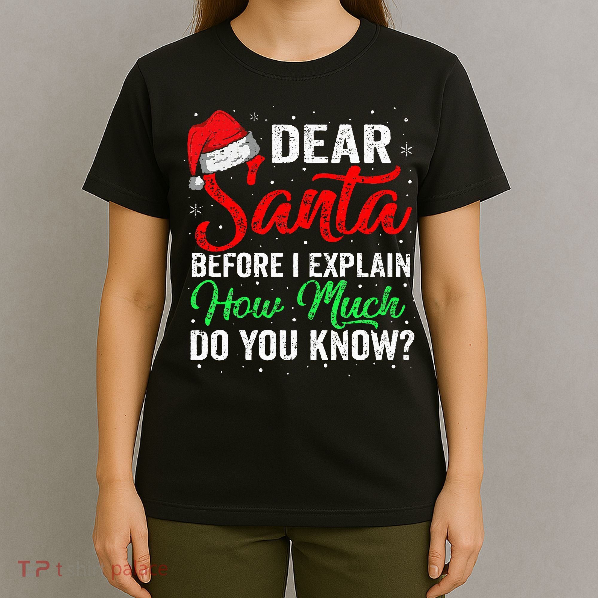 Dear Santa I Can Explain Funny Christmas T-Shirt