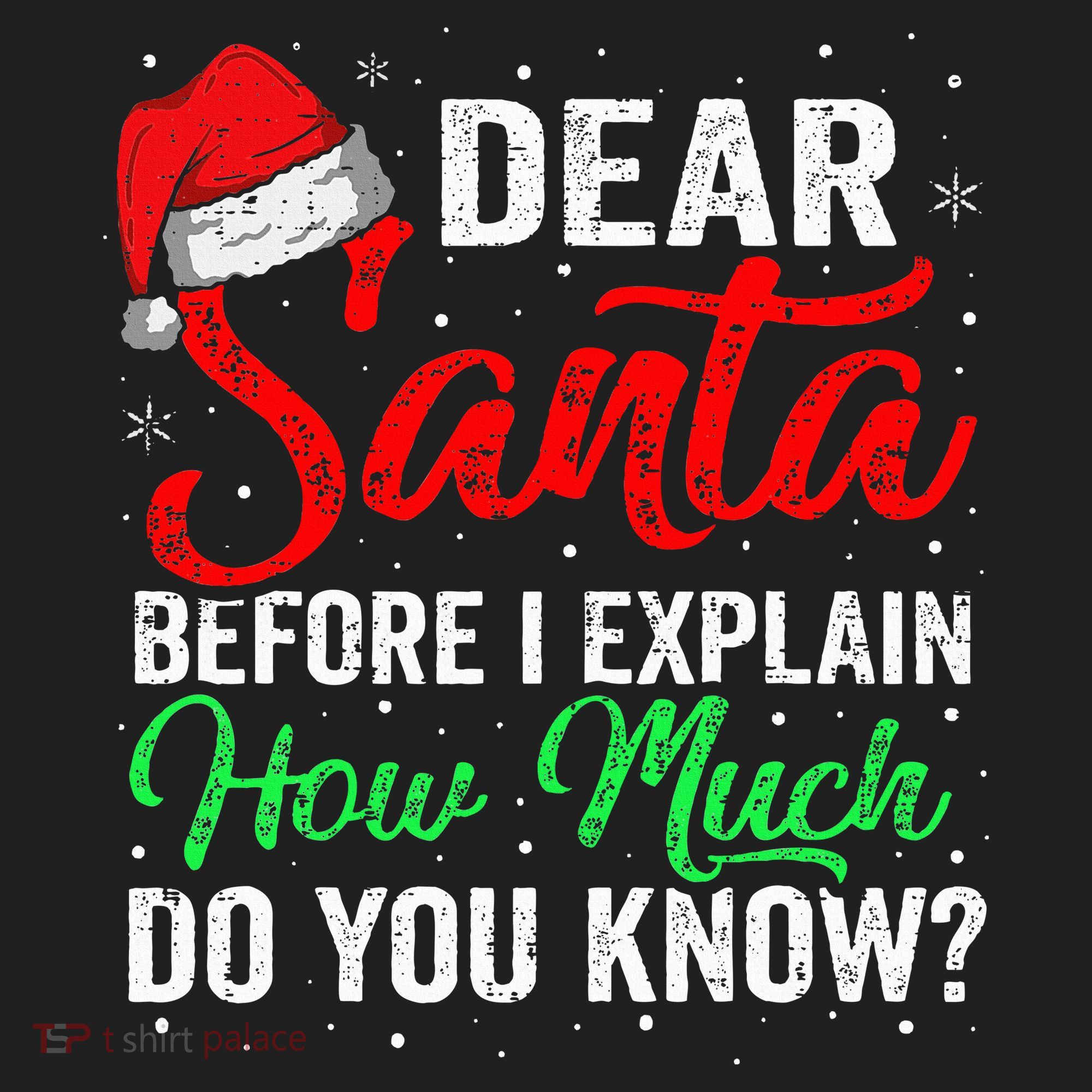 Dear Santa I Can Explain Funny Christmas Tumbler