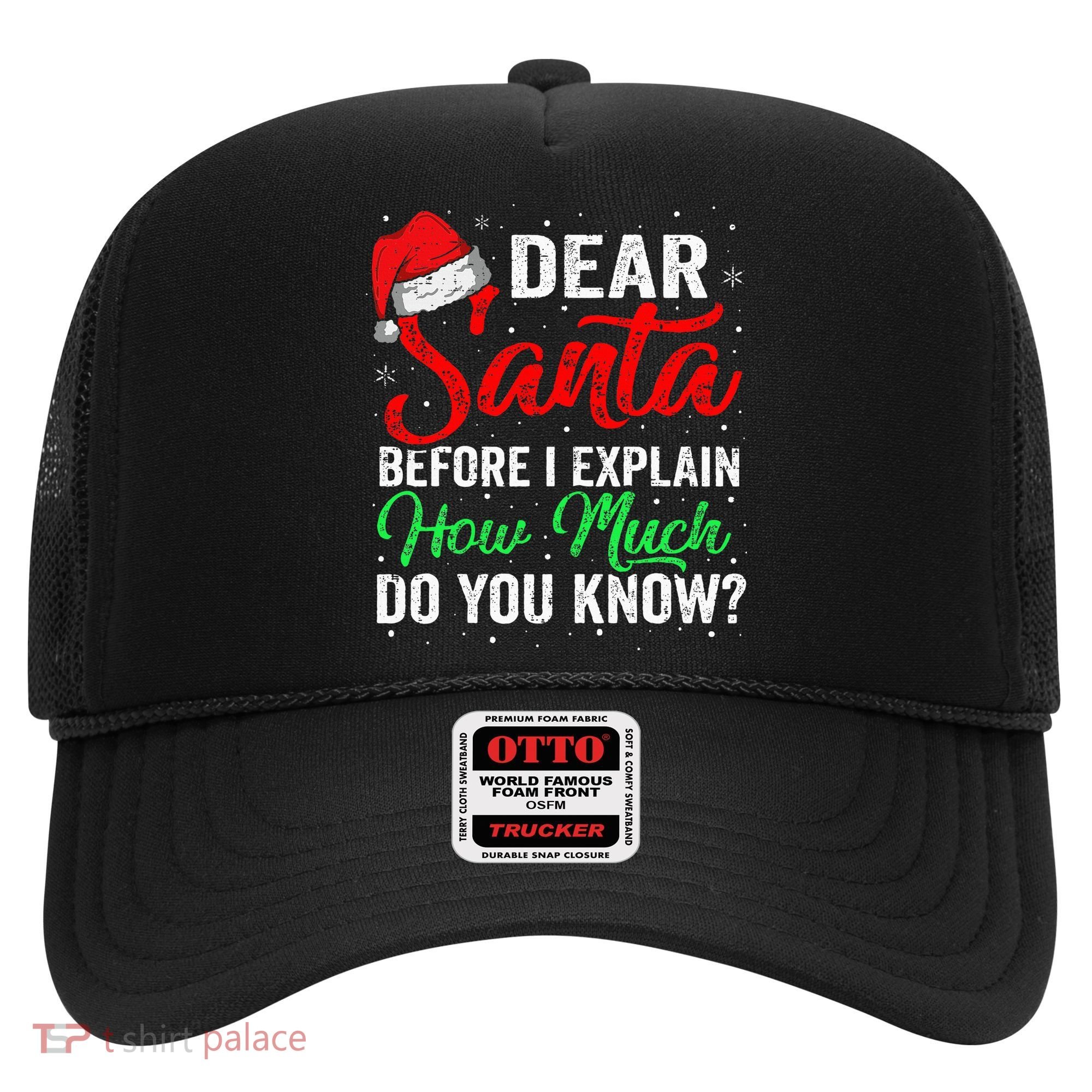 Dear Santa I Can Explain Funny Christmas Hat