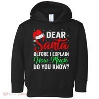 Dear Santa I Can Explain Funny Christmas Toddler Hoodie thumb 0