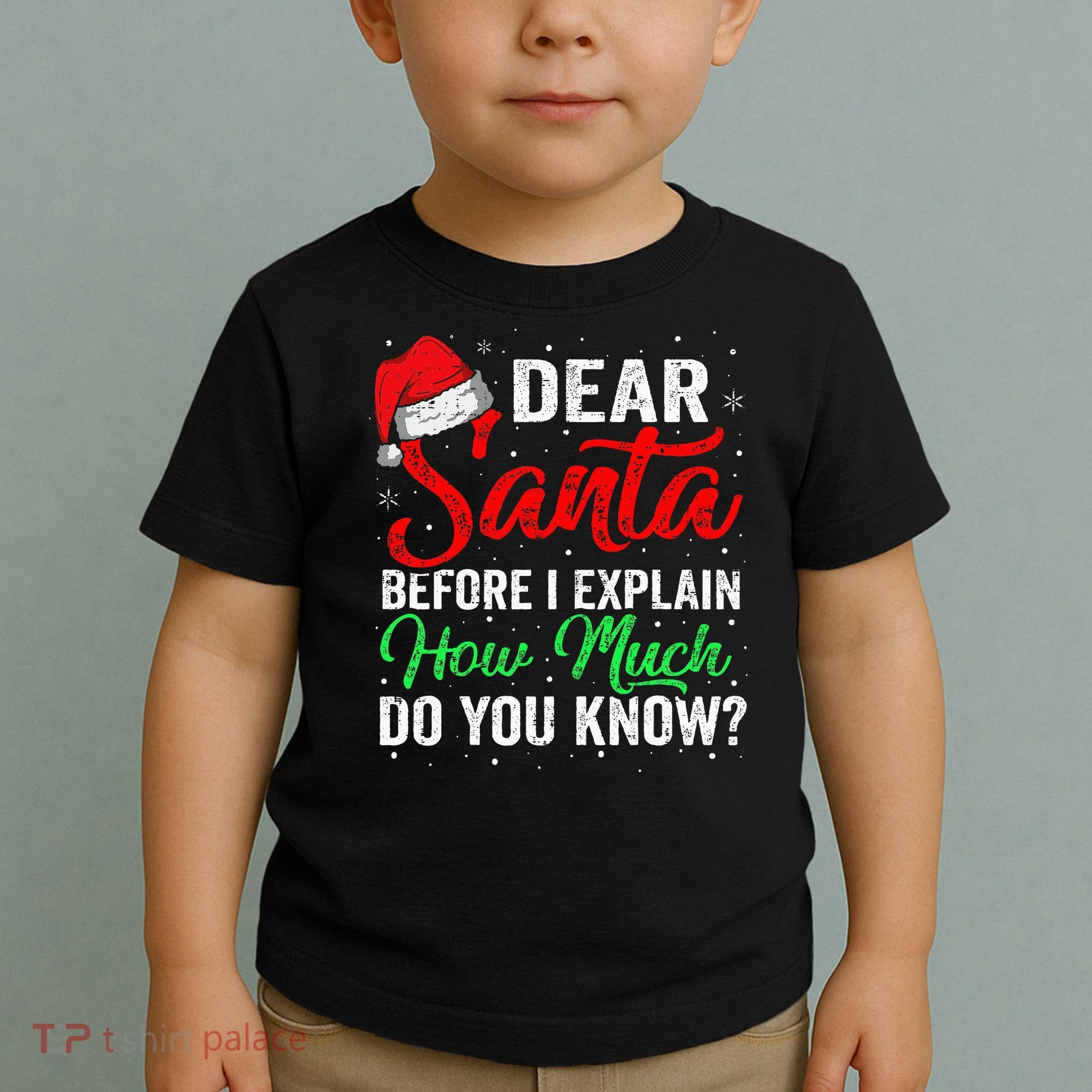 Dear Santa I Can Explain Funny Christmas Toddler T-Shirt