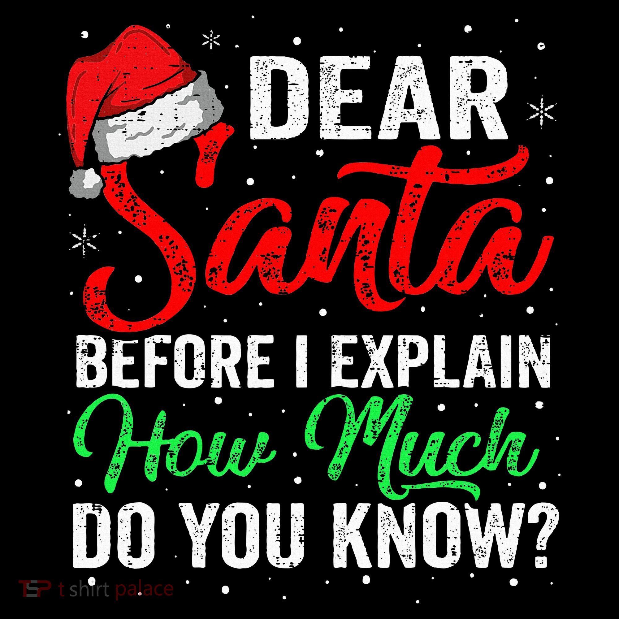 Dear Santa I Can Explain Funny Christmas Women's T-Shirt
