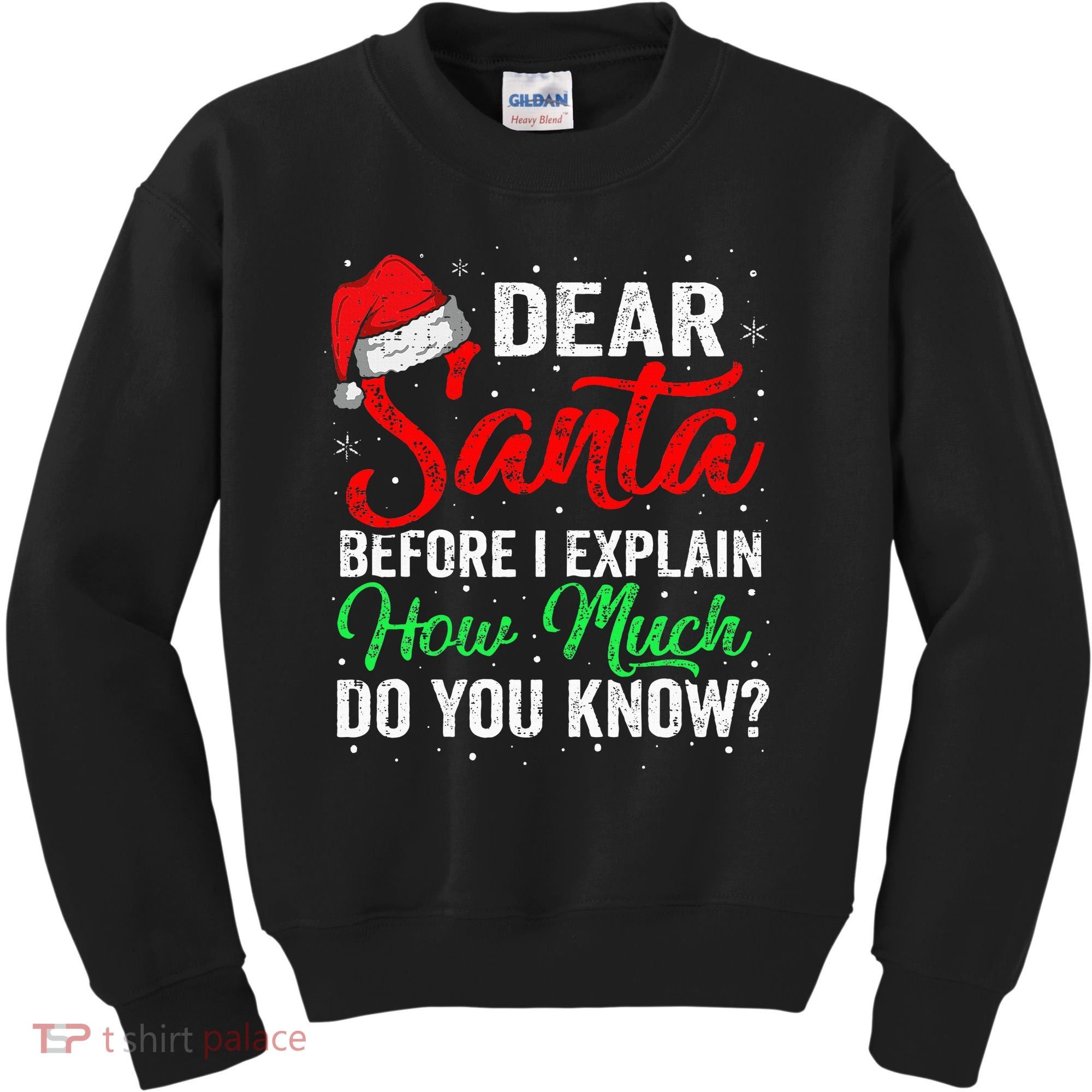 Dear Santa I Can Explain Funny Christmas Kids Sweatshirt