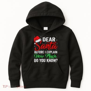Dear Santa I Can Explain Funny Christmas Kids Hoodie