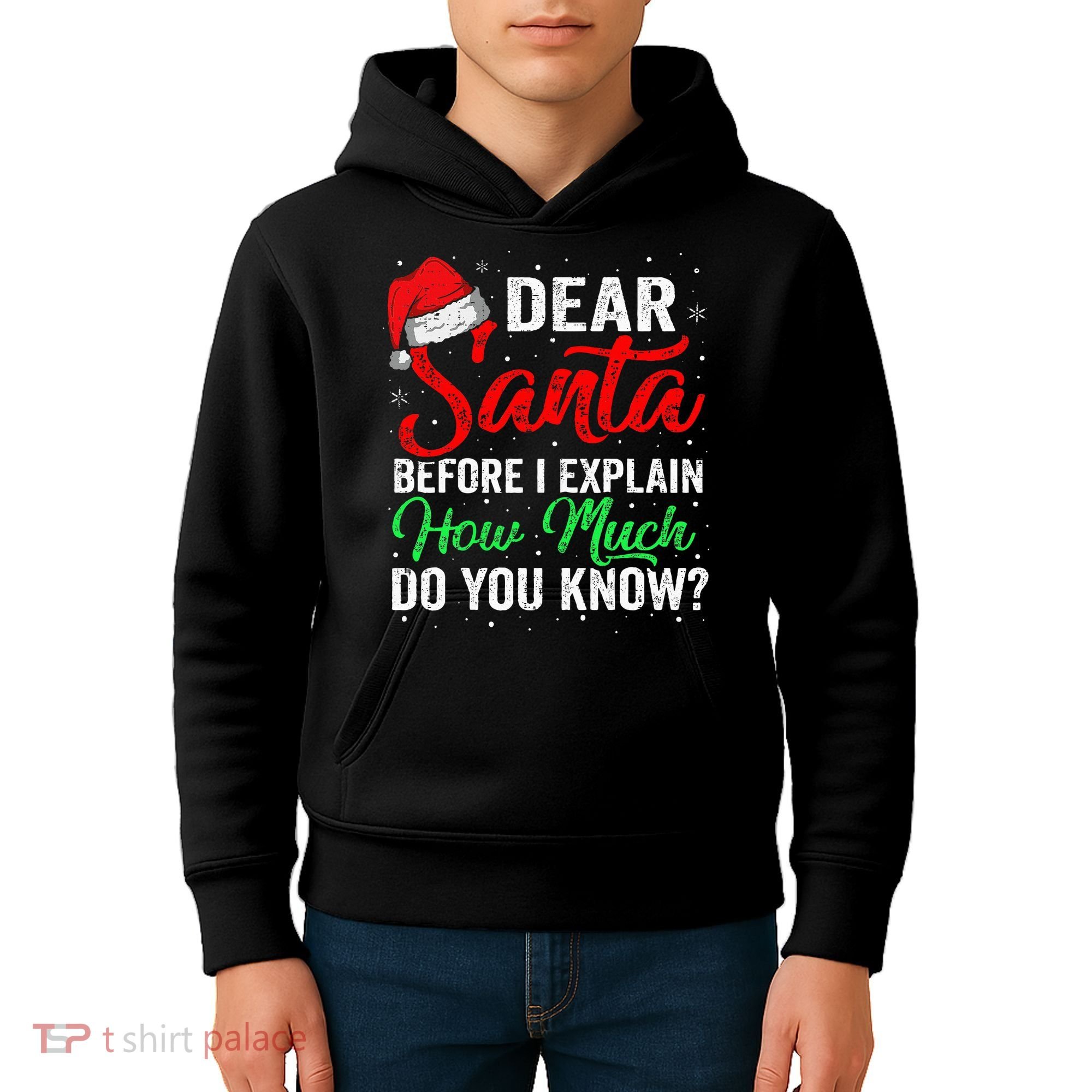 Dear Santa I Can Explain Funny Christmas Kids Hoodie