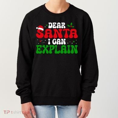 Dear Santa I Can Explain Funny Christmas Joke Gift Women's Sweatshirt