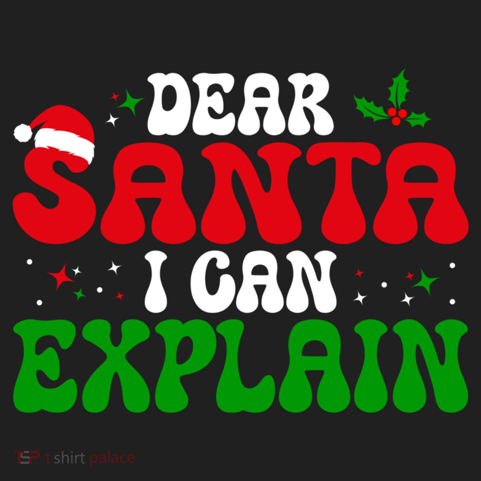 Dear Santa I Can Explain Funny Christmas Joke Gift Beanie