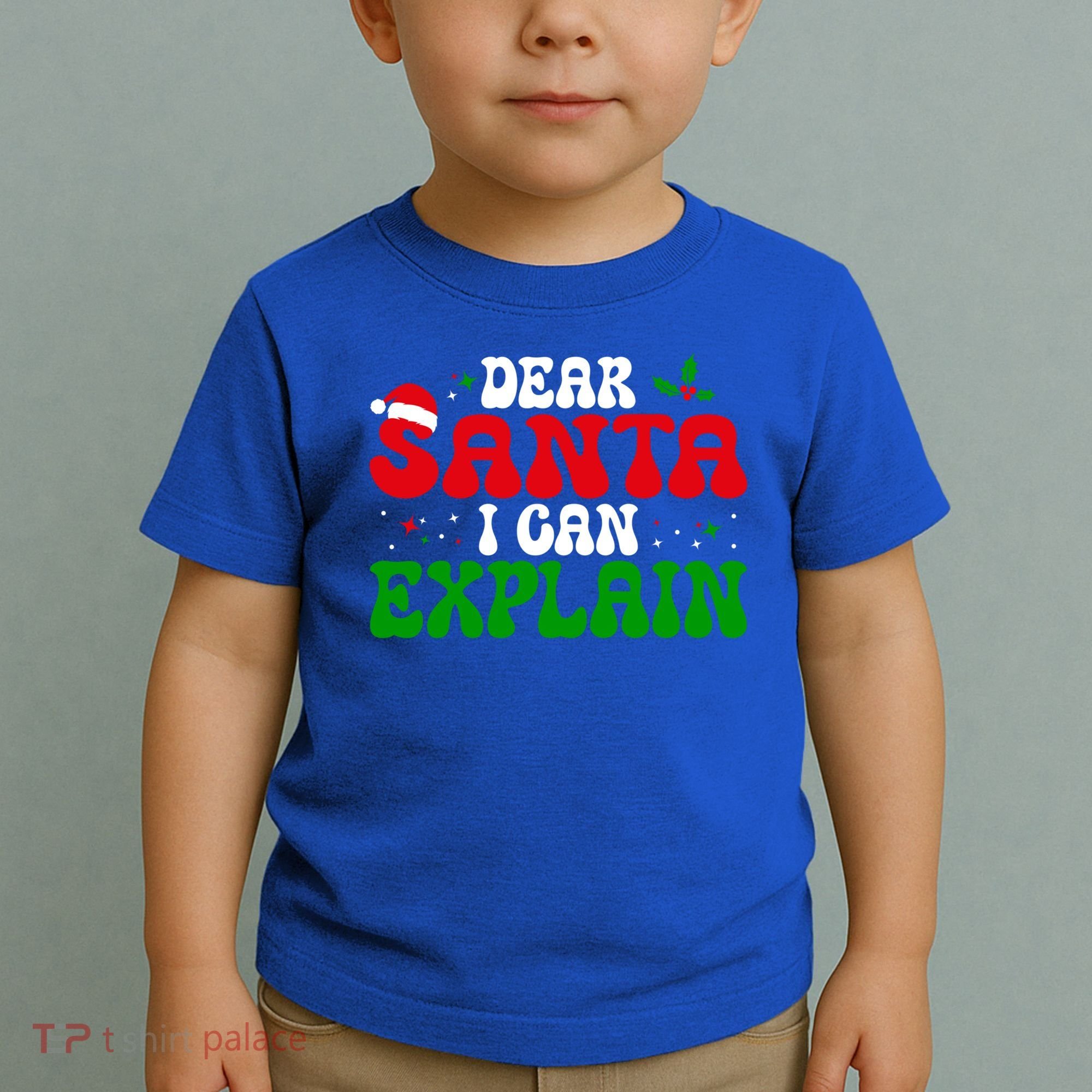 Dear Santa I Can Explain Funny Christmas Joke Gift Toddler T-Shirt