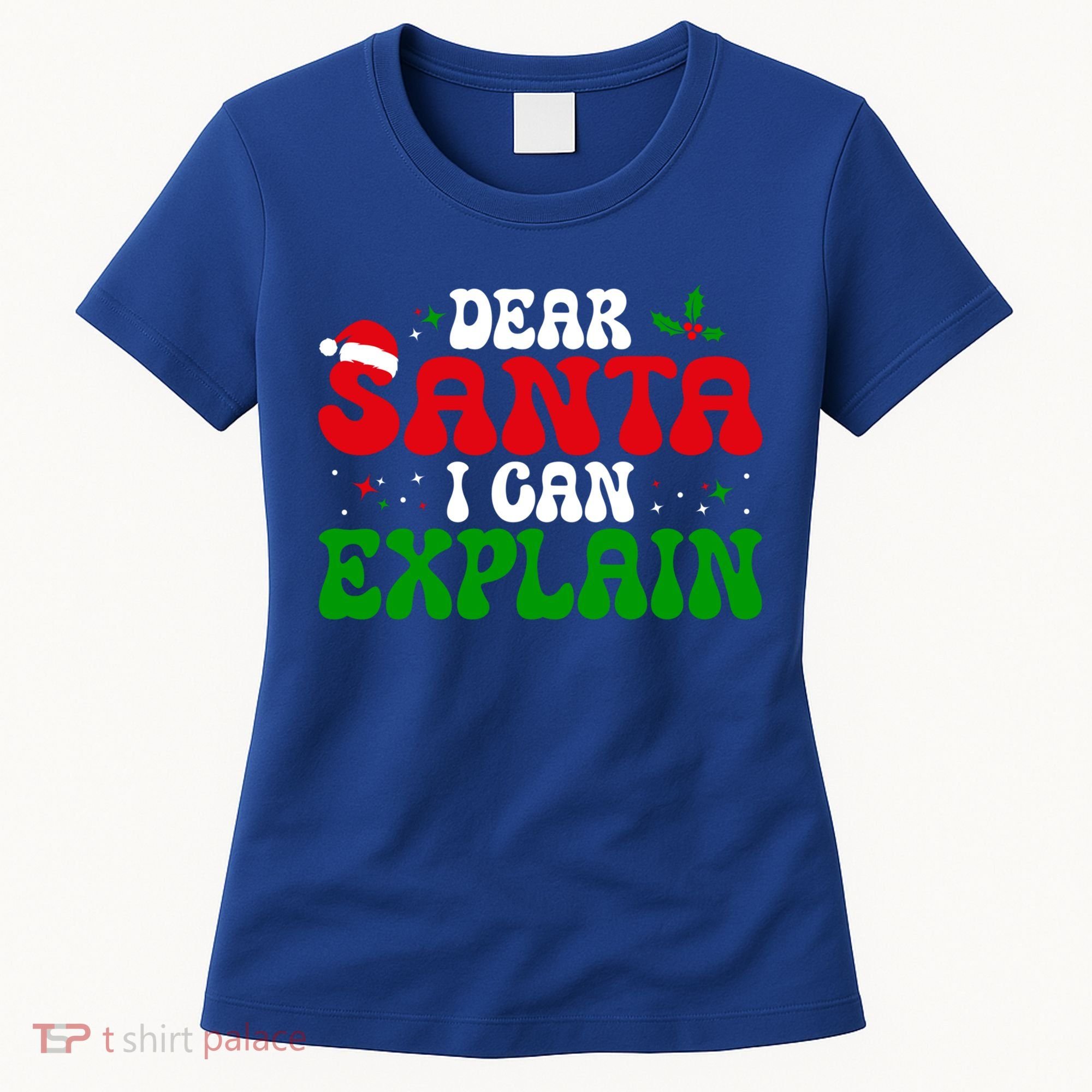 Dear Santa I Can Explain Funny Christmas Joke Gift Women's T-Shirt