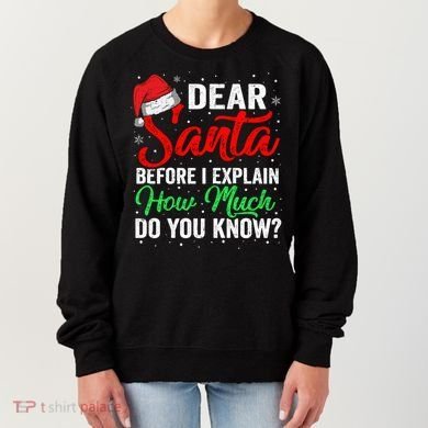 Dear Santa I Can Explain Funny Christmas Gift Adults Gift Women's Sweatshirt